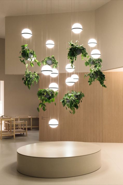 PALMA is a lighting system that introduces the planting normally associated with daylight in the outdoors, to an indoor setting. Its capacity to create ambience within an interior setting increases with its growth like a luminous hanging garden. Follow the link to discover its endless uses 📎 #lighting #lightingdesign #biophilicdesign #interiordesign Dark Brown Couch, Grey Drawers, Linen Cabinet, Blanket Storage, Hanging Garden, Metal Lamp, Interior Photography, Under Bed, Organic Form