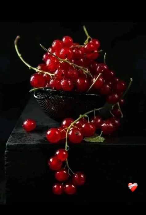 Red Currants, Fruit Picture, Fruit Wallpaper, Fruit Photography, Red Currant, Black Currant, Tropical Fruits, Healthy Delicious, Still Life Art