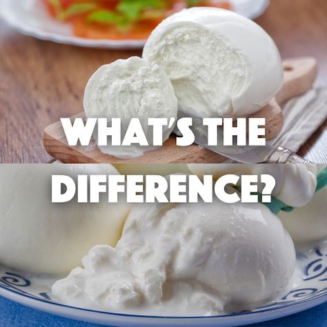 Burrata Mozzarella, Recipes With Mozzarella Cheese, Burrata Recipe, Light Sauce, Mozzarella Recipes, Mozzarella Salad, Buffalo Mozzarella, Burrata Cheese, Food Info