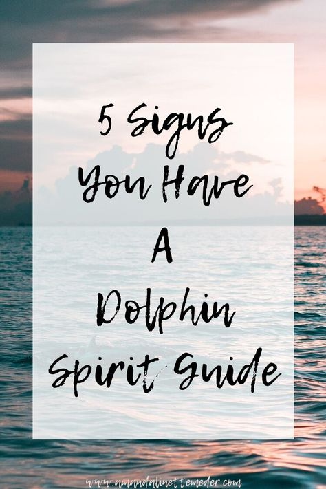 Dolphin In Water, Dolphin Spirit Animal, Spirit Animal Tattoo, Spirit Guide Signs, Spirit Energy, Dolphin Images, Dolphin Lover, Animal Spirit Guides, Animal Guides