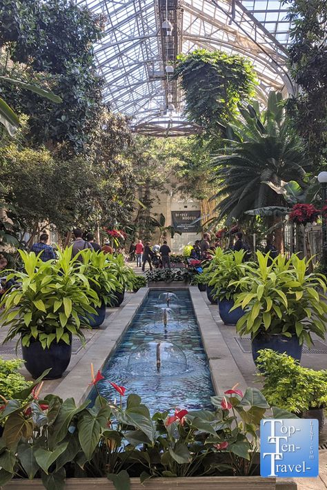 Escape the winter cold with a warm walk around the gorgeous Botanical Gardens of DC. Us Botanical Gardens Dc, Dc Botanical Gardens, Botanical Museum, Greenhouse Restaurant, Traveling Inspiration, Botanical Garden Wedding, Dc Trip, Prague Travel, Botanical Gardens Wedding