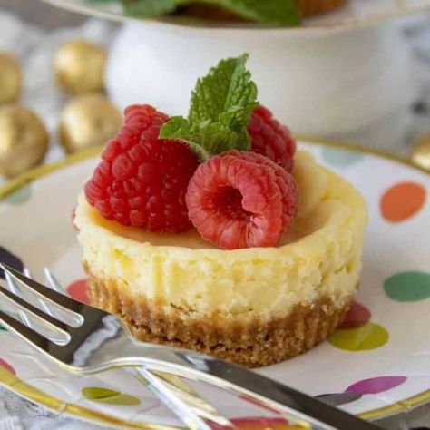 Mini New York Cheesecakes - Mindee's Cooking Obsession Mini New York Cheesecake, Individual Cheesecake Recipes, Cheesecakes Cupcakes, Mini No Bake Cheesecake, New York Cheesecake Recipe, Individual Cheesecakes, New York Style Cheesecake, Homemade Cheesecake, Baked Cheesecake Recipe