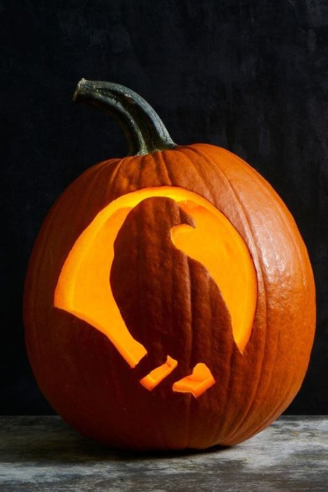 diy outdoor halloween decorations crow Raven Jack O Lantern, Crow Jack O Lantern, Pumpkin Carving 2024, Raven Pumpkin Carving, Crow Pumpkin Carving, Pretty Pumpkins Carving, Jack O Lantern Ideas, Pumpkins Carving, Pumpkin Carving Tools