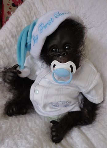 OOAK Reborn Monkey Orangutan Baby Boy Art Doll Gorilla Original Newborn | eBay Reborn Monkey, Baby Boy Art, Baby Gorillas, Cute Monkey, Animals Cute, Baby Monkey, Cute Animal Pictures, Sweet Animals