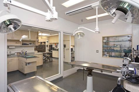 Vet Surgery Room, Veterinary Surgery Room Design, Veterinary Surgery Room, Animal Hospital Design, Veterinary Hospital Design, Vet Office Decor, Veterinarian School, Prep Room, Hospital Floor Plan