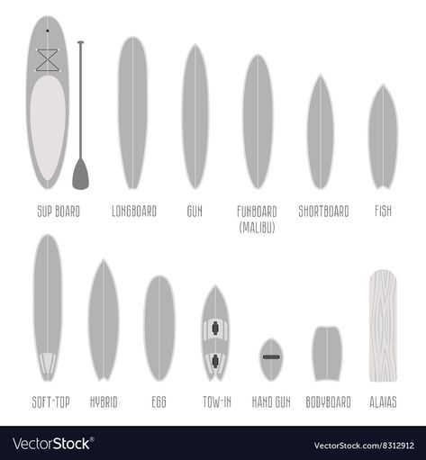 Surfer Style Outfits, Fish Surfboard, Best Surfboards, Longboard Design, Surfboard Shapes, Wooden Surfboard, Fish Silhouette, Surfboard Fins, Vector Infographic