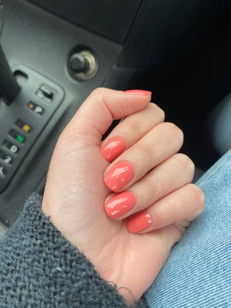 Spring Colours Nails, Salmon Colored Nails, Peach Coloured Nails, Peach Coral Nails, Coral Dip Powder Nails, Salmon Nails Coral, Spring Colour Nails, Bright Nails Short, Uñas Color Salmon