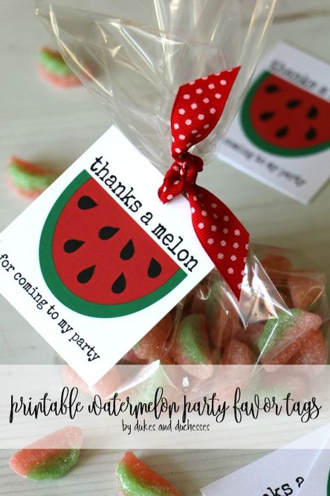 Watermelon Themed 2nd Birthday Party, Fruit Theme Party Favors, Watermelon Themed First Birthday Food, Watermelon Birthday Party Food, Watermelon Party Food Ideas, Watermelon Bachelorette Party, Fruit Party Favors, Fruit Bday Party Ideas, Cocomelon Birthday Party Favors