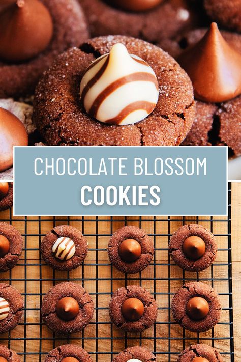 These Chocolate Blossom Cookies are a delightful twist on peanut butter blossom cookies, with a rich, soft, chocolate dough, and a melty chocolate kiss in the center - these cookies are the perfect treat for chocolate lovers. Great for the holidays, special occasions, or whenever the craving strikes! Cookie Blossoms Chocolate Kisses, Chocolate Blossoms Cookies, Chocolate Blossom Cookies, Chocolate Dough, Chocolate Kiss Cookies, Recipes Unique, Peanut Butter Blossom, Chip Recipes, Peanut Butter Blossom Cookies