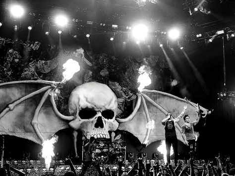 Avenged Sevenfold Avenged Sevenfold Pfp, Avenged Sevenfold Concert, Bands Wallpaper, Avenged Sevenfold Wallpapers, Waking The Fallen, City Of Evil, Matt Shadows, Rock Music Festival, M Shadows