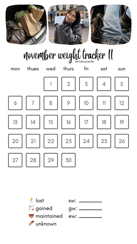 November Tracker, Weight Tracker, Planner Pages, 1 800, The New York Times, Bullet Journal, How To Plan, Quick Saves