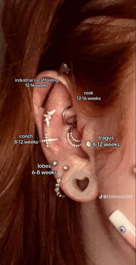 Eat Peircings Women Chart, Peircings Women Chart, Eat Piercing Types, Different Types Of Piercings Ears, Pericings And Names, Peircings Women Pain Chart, Peircings Women Ear Chart With Names, Ear Piercing Ideas Chart Names, Eat Piercing Placement Chart