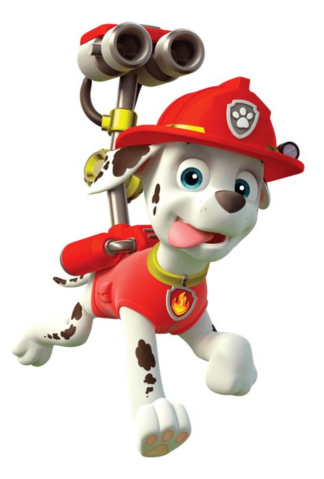 Paw Patrol Sayings, Paw Patrol Png, Paw Patrol Tracker, Paw Patrol Party Favors, Paw Patrol Figures, Paw Patrol Stickers, Imprimibles Paw Patrol, Paw Patrol Birthday Theme, Graduation Party Backdrops