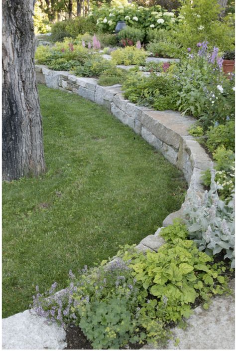 For front yard? Easy Landscaping, Traditional Landscape, Landscaping Tips, Garden Edging, Kew Gardens, Ideas Pictures, Landscape Projects, Outdoor Landscaping, Own Home