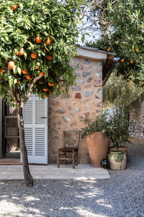 Italian Garden Design, Spain Villa, Island Homes, Rustic Italian, Italian Garden, Citrus Trees, Countryside House, Mediterranean Garden, Stone Cottage