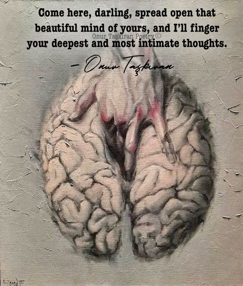 Medulla Oblongata, Intellectual Stimulation, Poetic Quotes, Soul Connection, Aesthetic Quotes, True Facts, Beautiful Mind, Romantic Quotes, Love Poems