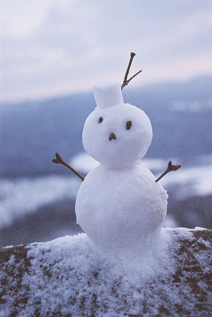 Snow Sculptures, I Love Snow, Snow Art, Snow Fun, I Love Winter, 12 December, Build A Snowman, Frosty The Snowmen, Winter Magic