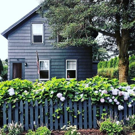 Laura Busk on Instagram: “I couldn’t resist reposting this little black house with matching black picket fence. @skaufman4050” Picket Fence Front Yard, White Picket Fence Front Yard, White Picket Fence Ideas, Black Picket Fence, Fence Front Yard, Picket Fence Ideas, Little Cottage House, Wood Picket Fence, Front Courtyard