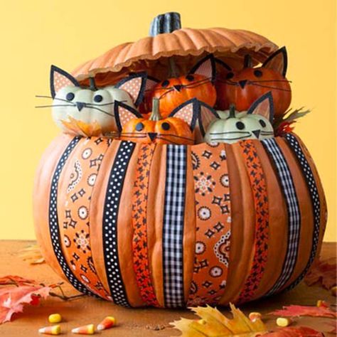 Best Pumpkin Decorating Ideas, Cat Pumpkin Carving, Halloween Pumpkin Crafts, Creative Pumpkin Decorating, Pumpkin Decorating Ideas, Pumpkin Decorating Contest, Unicornios Wallpaper, Pumpkin Contest, Halloween Pumpkin Designs