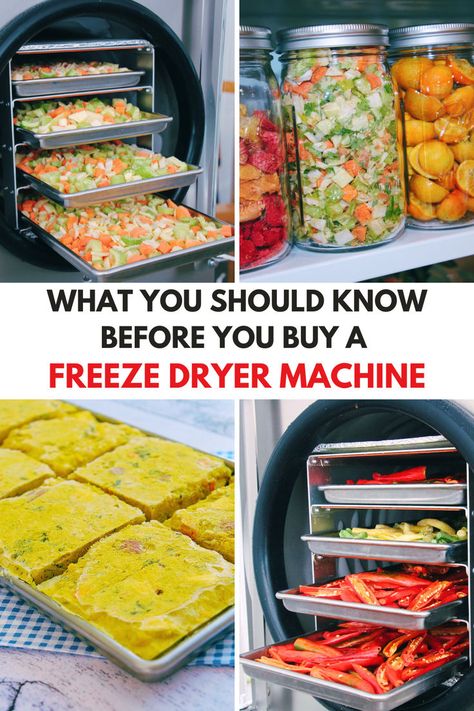 Various foods being preserved using a freeze dryer machine, showcasing the process and results of freeze drying for long-term food storage. Harvest Right Freeze Dryer Cheat Sheet, Freeze Dryer Machine, Freeze Dryer Setup, Freeze Dryer Ideas, Harvest Right Freeze Dryer Recipes, Freeze Dryer Recipes, Homestead Lifestyle, Harvest Right Freeze Dryer, Freeze Dryer