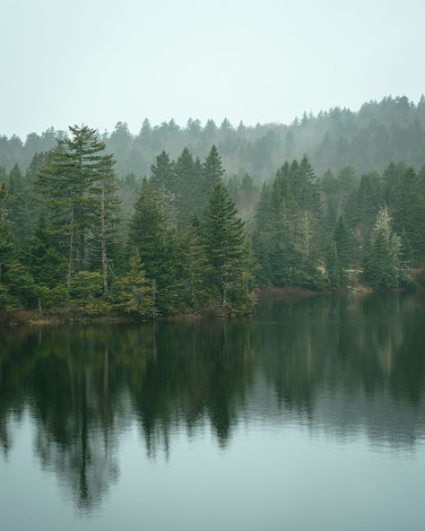 Foggy scene at Bennett Lake, in Fundy National Park, New Brunswick, Canada Fundy National Park New Brunswick, Fundy National Park, Canada National Parks, New Brunswick Canada, Bingo Board, Hotel Motel, Posters Framed, New Brunswick, Image House