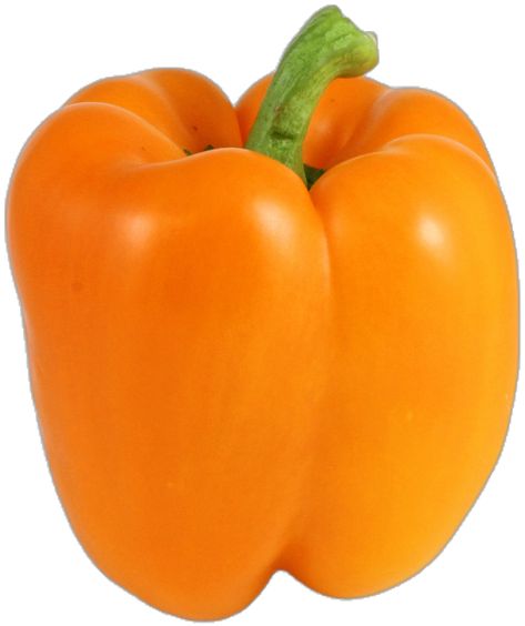 Orange Bell Pepper, Fresh Orange, Bell Pepper, Peppers, Stuffed Bell Peppers, Shopping List, Stuffed Peppers, Orange