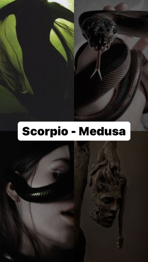 Zodiac signs as mythical creatures. Created by me, please ask permission if wanted to repost 🪄 #zodiac #zodiacsigns #mine #mythology #mythical Signs As Mythical Creatures, Aesthetic Scorpio, Zodiac Signs In Order, Zodiac Mind Scorpio, Zodiac Aesthetic, Zodiac Characters, Different Zodiac Signs, Scorpio Season, Astrology Numerology