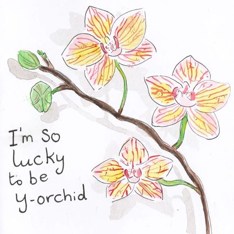 Hope all mothers who celebrated mother's day yesterday had a lovely day. --- This is the card I made for my mum of an orchid plant and the pun "I'm so lucky to be y-orchid." Painted with watercolours and fine liner. ---- #mothersday #motheringsunday #orchid #houseplant #pun #greetingscarddesign #cardillustrator #painting #watercolourillustration #charlotsart #flowers Mum Drawing, Orchid Drawing, Orchids Painting, I'm So Lucky, Mothering Sunday, Orchid Plant, Card Inspo, Plant Drawing, Orchid Plants