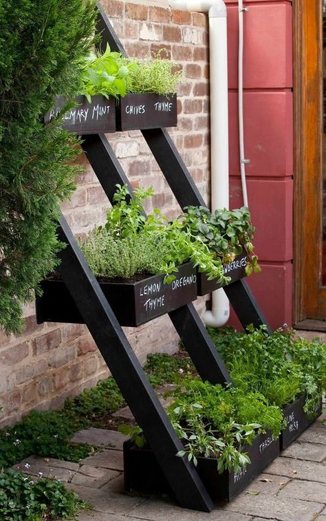 Cedar vertical tiered ladder garden planter Garden Ladder Ideas, Ladder Planter, Ladder Ideas, Garden Ladder, Diy Garden Decor Projects, Outdoor Herb Garden, Succulent Landscape Design, Apartment Balcony Garden, Spring Garden Flowers