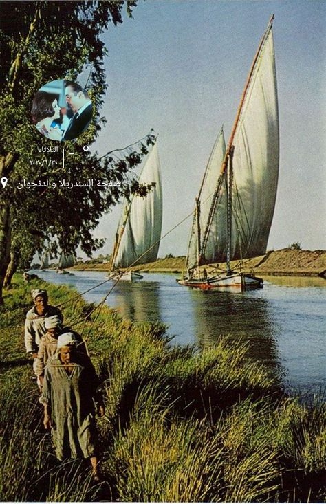 Egypt Nile River, River Images, Marine Photography, Background Inspiration, Nile Delta, Egyptian Style, Visit Egypt, Sail Boats, Nile River