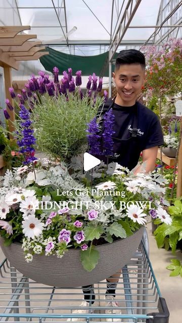 VANDULA FARMS on Instagram: "Another sunny day, another hustle! 🤩🪴
Follow along for container recipe of this eye-catching statement bowl using a monochromatic midnight sky palette 💜🤍👇
✨ Thriller- Lavender Tree
✨ Fillers- Salvia, Osteopermum, Dusty Miller, White Geraniums, Alyssums
✨ Spillers- Proven Winners Superbelles  Double Calibrachoa

#plantingseason #containergardening #containergardens #patioseason #patiogarden #gardentherapy #patiostyle #lavendergarden  #vancityvibe #vancouverbc #deltabc #richmondbc #surreybc burnabybc #coquitlambc #northvancouver #downtownvancouver #ubcvancouver" Proven Winners Containers, Lavender Planters, Sky Palette, White Geraniums, Lavender Tree, Tree Fillers, Land Scaping, Flower Growing, Garden Container