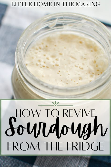 Sourdough Maintenance, Revive Sourdough Starter, Sourdough Tips, Easy Sourdough Bread Recipe, Recipe Using Sourdough Starter, Sourdough Bread Starter, Dough Starter, Sourdough Starter Discard Recipe, Gluten Free Sourdough