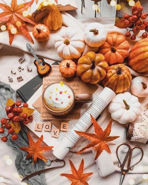 Thanksgiving Screensavers, Fall Aesthetic Pumpkin, Autumn Flatlay, Fall Presets, Autumn Collage, Ber Months, Fall Mood Board, Cute Fall Wallpaper, Autumn Magic