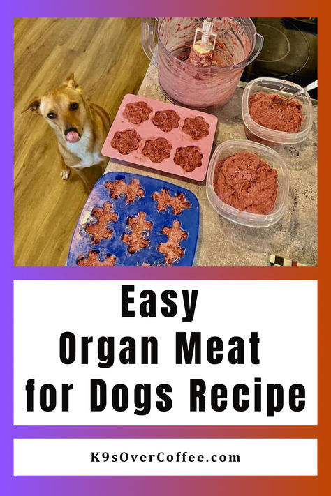 Feist dog about to eat an organ meat treat for dogs Raw Meat For Dogs, Raw Meat Diet For Dogs, Homemade Raw Dog Food, Venison Dog Food, Cooker Dog, Dog Food Recipes Crockpot, Chicken Liver Recipes, Organ Meat, Dog Food Recipe