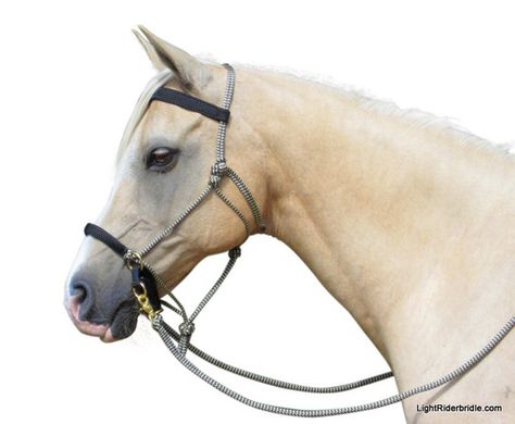 LightRider Bridle - Rope Natural is perfect for starting young horses, trail and endurance riding and as a multi use halter/bridle. Looks great in the black/gold zig zag rope and includes reins too for only $99.  http://www.naturalhorseworldstore.com/lightrider-bridle-rope-natural/ Rope Bridle, Endurance Riding, Bitless Bridle, Equestrian Helmets, Equestrian Helmet, Horse Gear, English Riding, Horse Drawing, Bridles