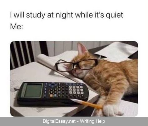 #essay #essaywriting #essaytips #essayhelp #essayontime #college #homework #memes #humor #writingpaper #collegehumor #essayhumor Homework Meme, Accounting Humor, College Memes, Funny Sms, Funny Friday Memes, Cat Jokes, Sarcasm Quotes, Funny Quotes Sarcasm, Funny Shirt Sayings