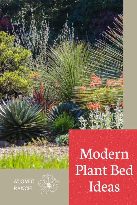 Mid Century Plants Outdoor, Mid Century Modern Plants Outdoor, Mcm Garden Design, Mid Century Modern Landscape, Mid Century Modern Raised Garden Beds, Midcentury Backyard Landscaping, Century Plant Landscape, Mid Century Landscaping Front Yard, Mid Century Modern Landscape Front Yard Midwest