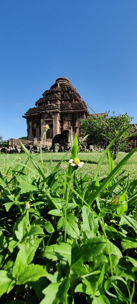 Konark temple is one of the most popular tourist spot in Puri, Odisha. It will take around two hours of drive to cover the trip from puri. Follow me on insta- glitteronmywings (username) Konark Temple, Puri Temple, Konark Sun Temple, Puri Odisha, Sun Temple, Tourist Spots, The Trip, Temple, Most Popular