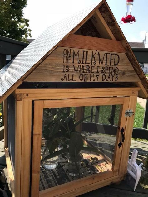 Backyard Butterfly Sanctuary, Butterfly Enclosure Diy, Wildflower Bed, Butterfly Enclosure, Monarch Butterfly Habitat, Diy Crafts Butterfly, Raising Monarch Butterflies, Butterfly Cage, Raising Butterflies