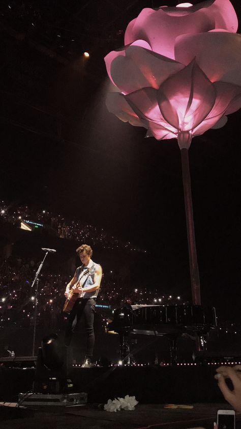 Shawn Mendes Pink Aesthetic, Music Artists Aesthetic, Artists Aesthetic, Artists Music, Shawn Mendes Tour, Shawn Mendes Concert, Shawn Mendes Wallpaper, Bedroom Wall Collage, Pink Photo