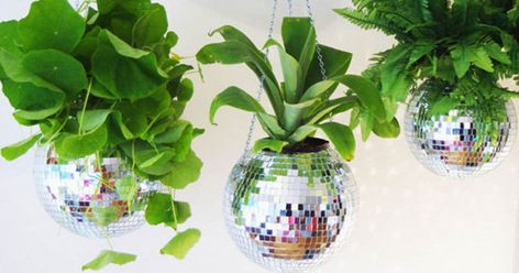 A Disco Ball Is The Unexpected Accessory Your Apartment Deserves #refinery29 https://www.refinery29.com/disco-ball-home-decor-how-to Retro Packaging, Disco Decorations, Plastic Planter, Fake Plants Decor, Kitchen Herbs, Macrame Hanger, Hanging Plant, Plant Hangers, Green Bathroom