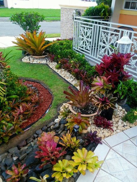 Bromeliads Garden, Tropical Landscape Design, Walkway Landscaping, Tropical Garden Design, Stone Landscaping, Small Front Yard Landscaping, Front Yard Design, Front Yard Garden Design, Front Yard Garden