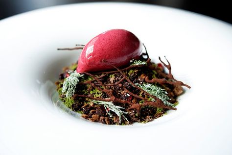 Sydney chef Martin Benn’s ‘Summer Chocolate Forest’ could easily pass for dirt, twigs and moss. Australian Restaurant, Masterchef Australia, Sydney Restaurants, Plated Desserts, Best Dishes, Food Presentation, Food Plating, Food Guide, Best Restaurants