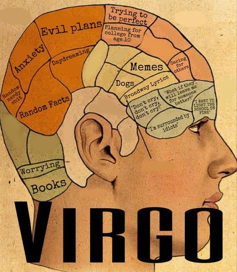 What Is A Virgo, Virgo Emotions, Virgo Goddess, Virgo Astrology, Virgo Personality, Virgo Memes, Virgo Art, Virgo Girl, Virgo Traits