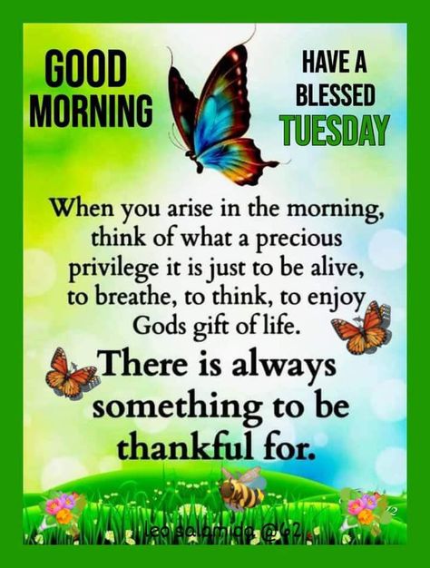 Good Tuesday Morning Blessing, African American Tuesday, Tuesday Prayer, Good Tuesday Morning, Weekly Blessings, Happy Tuesday Morning, Tuesday Quotes Good Morning, Good Morning Sister Quotes, Tuesday Greetings