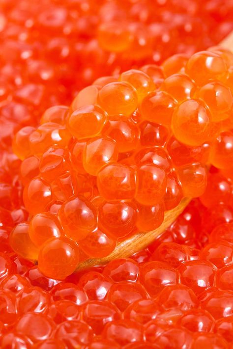 Ikura Recipe, Caviar Appetizers, Chum Salmon, Sushi Logo, Salmon Caviar, Cured Egg, Sturgeon Fish, Fish Eggs, Japanese Grocery