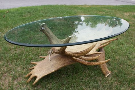 Moose Antler Coffee Table Moose Horn Decor, Moose Antlers Decor, Antler Coffee Table, Moose Antler Decor, Moose Horns, Antlers Diy, Log Home Living Room, Horn Ideas, Antler Furniture