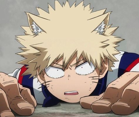 [Cat] Bakugou Katsuki♡ Cat Bakugou, Bakugou Cute, Bakugou Manga, My Hero Academia 2, Bakugo Katsuki, Katsuki Bakugo, Katsuki Bakugou, Bakugou Katsuki, Cat Boys