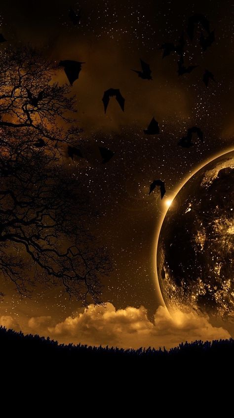 Golden moon Dark Side Of Moon, Starry Night Wallpaper, Hd Landscape, Golden Wallpaper, Popular Wallpapers, Gold Skies, Golden Moon, Nature Iphone Wallpaper, Hd Nature Wallpapers