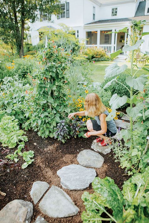 In Freeport, native plants restore a landscape ravaged by invasive weeds. Roadside Landscaping, Forest Garden Ideas, Wedding Garden Decorations, Utah Landscaping, Native Landscaping, Food Forests, Native Plant Landscape, Permaculture Garden, Garden Forest